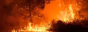 Campagne de Prévention des feux de forêt et de végétation